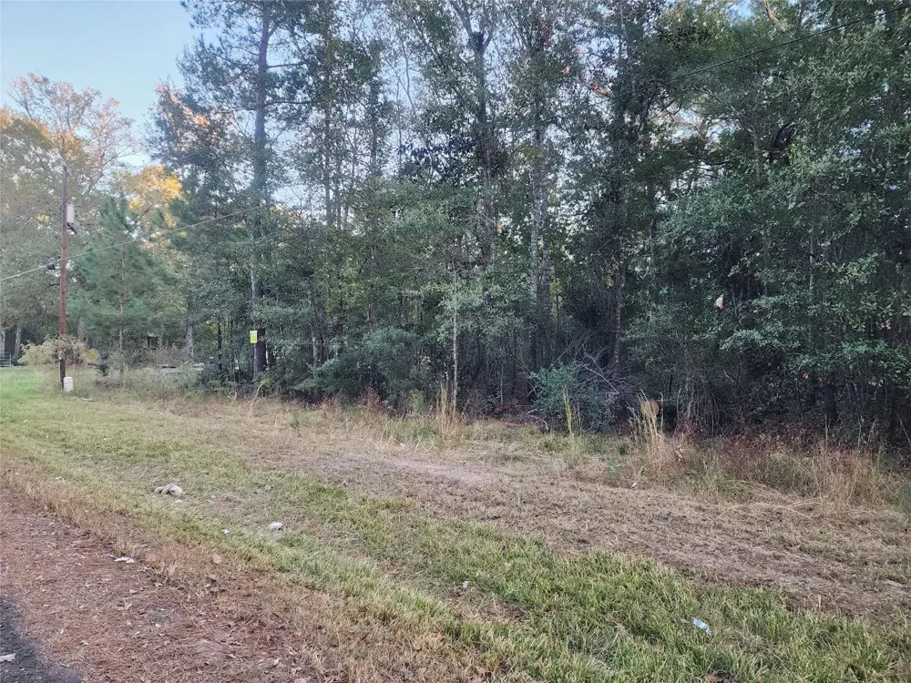 Dottie Ln Lane Shepherd, TX 77371