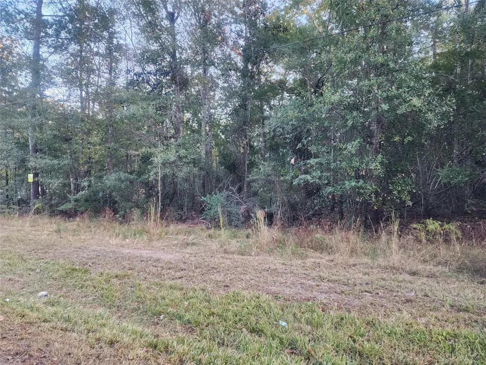 Dottie Ln Lane Shepherd, TX 77371