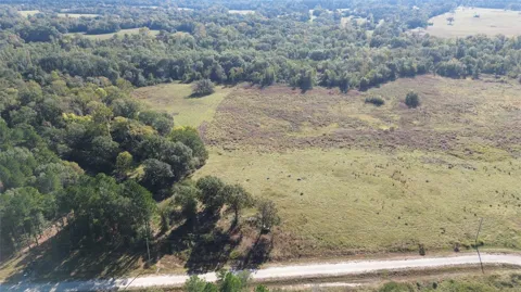 300 Buckhorn Creek Trail