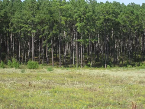 25 Fm 256 N