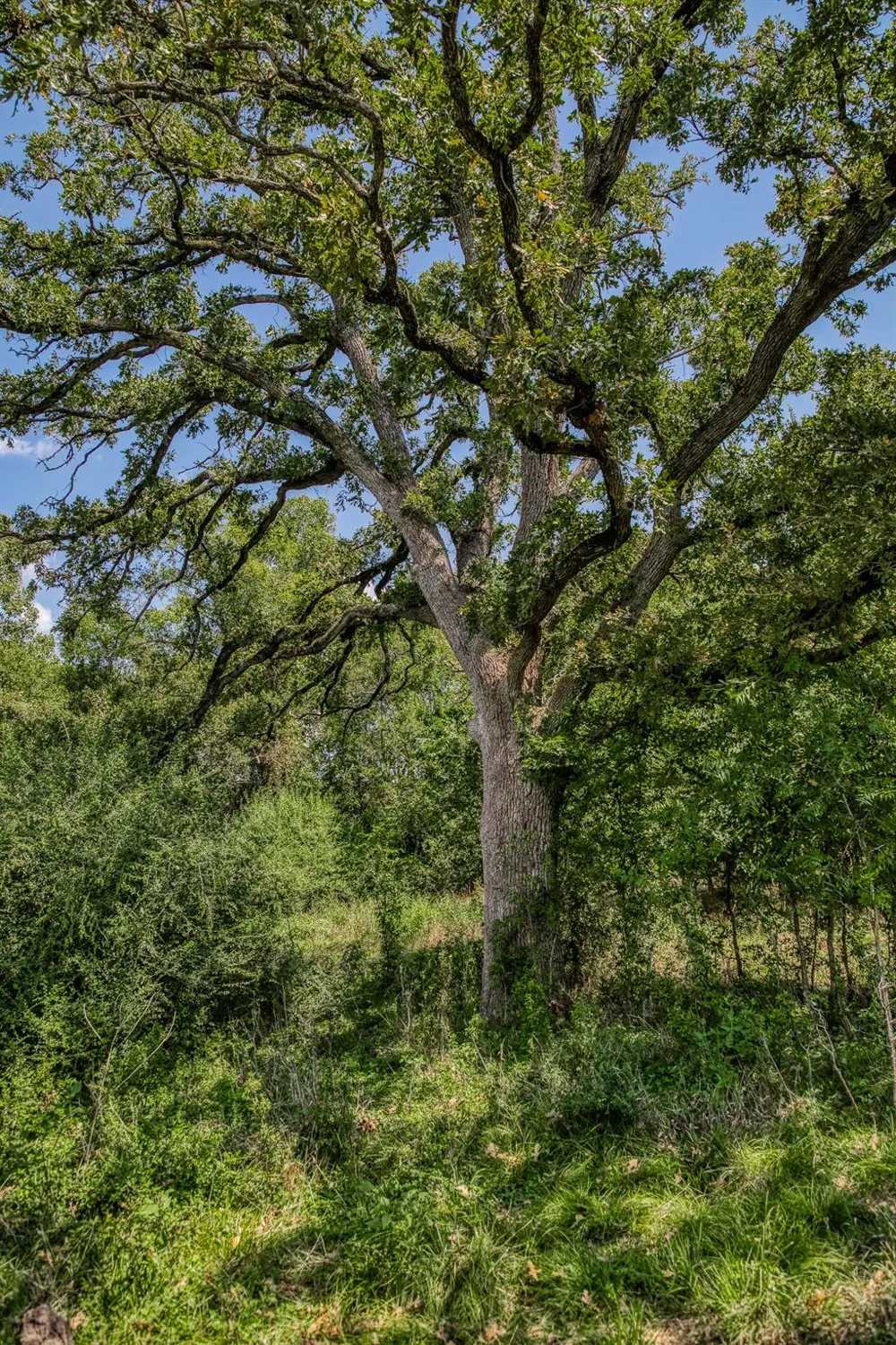 3208 W State Highway 21 Bryan, TX 77803