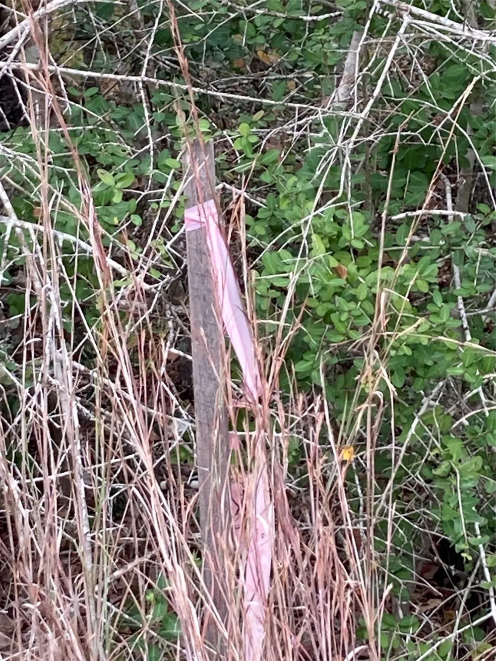 Pin Tail Cove Caldwell, TX 77836