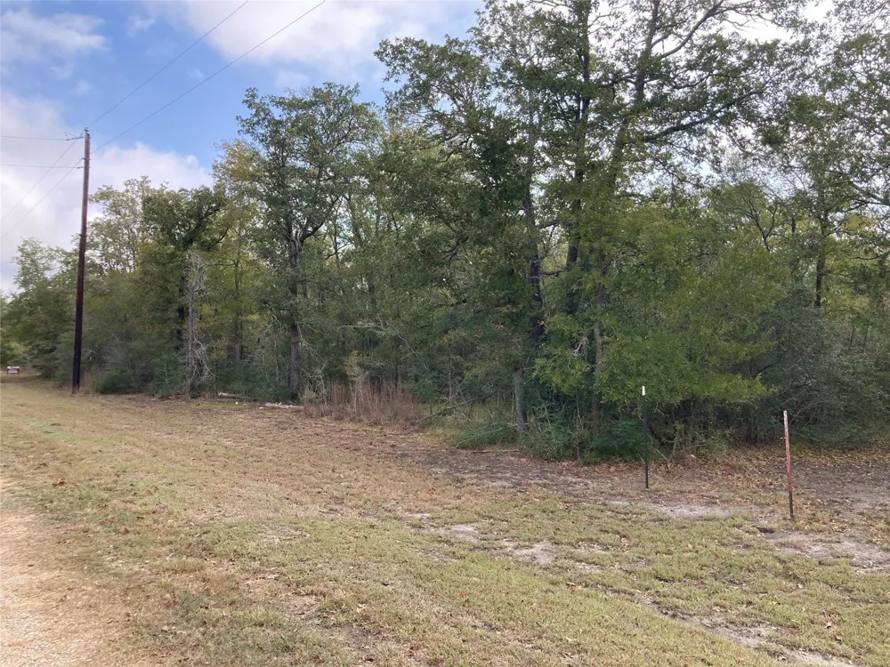 Pin Tail Cove Caldwell, TX 77836