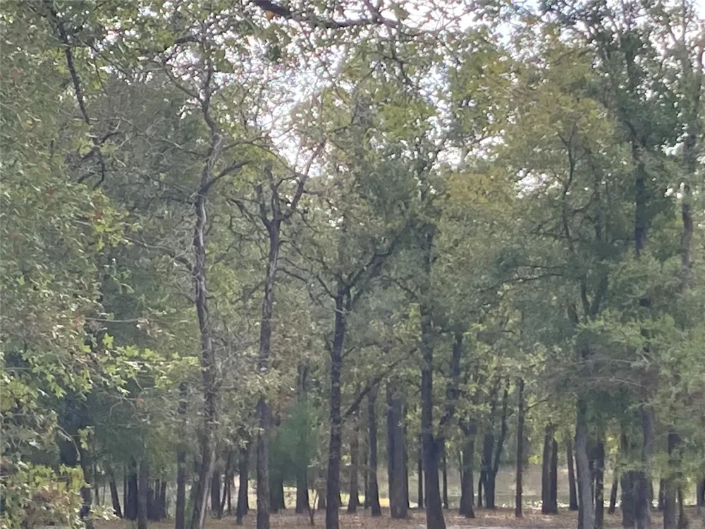 Pin Tail Cove Caldwell, TX 77836