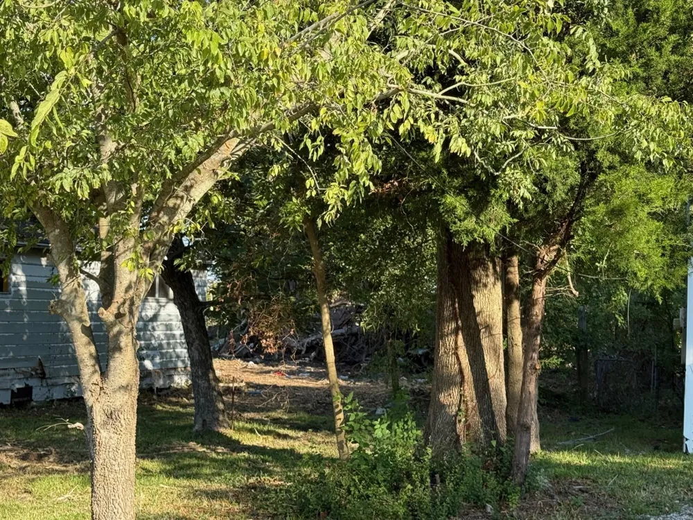 1809 S Main Street Highlands, TX 77562