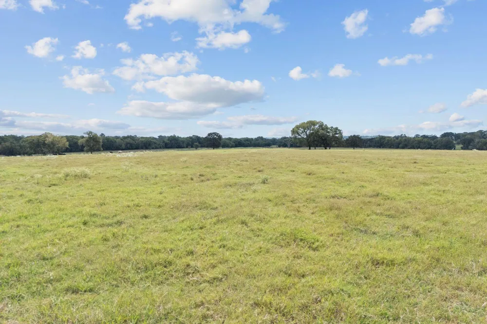 Fm-149 E Richards, TX 77873