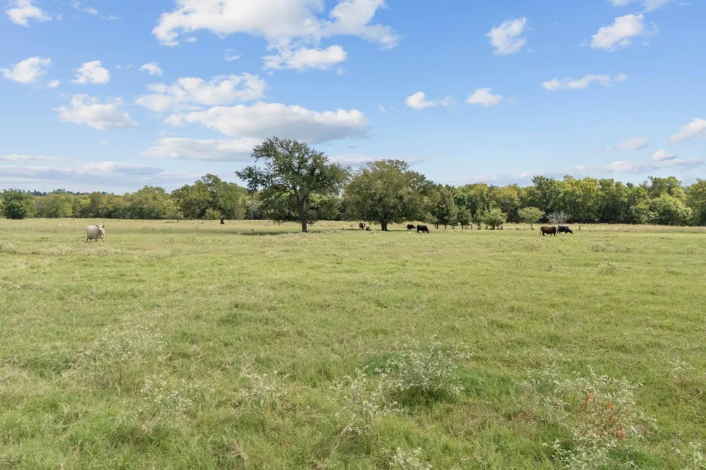 Fm-149 E Richards, TX 77873