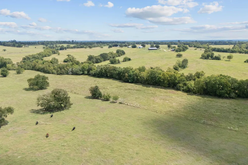 Fm-149 E Richards, TX 77873