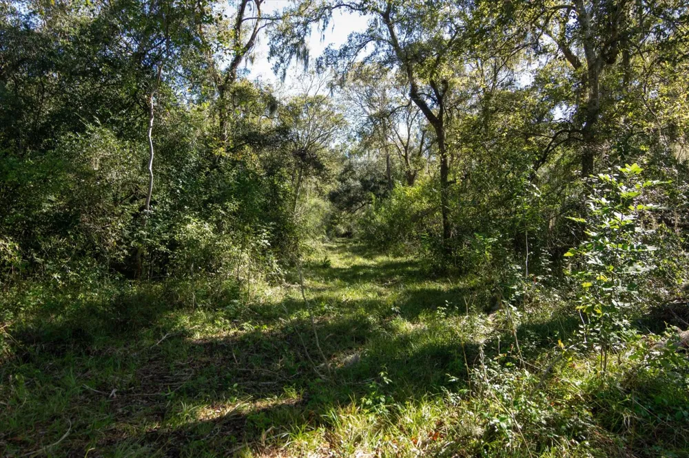 Cr 611 Angleton, TX 77515