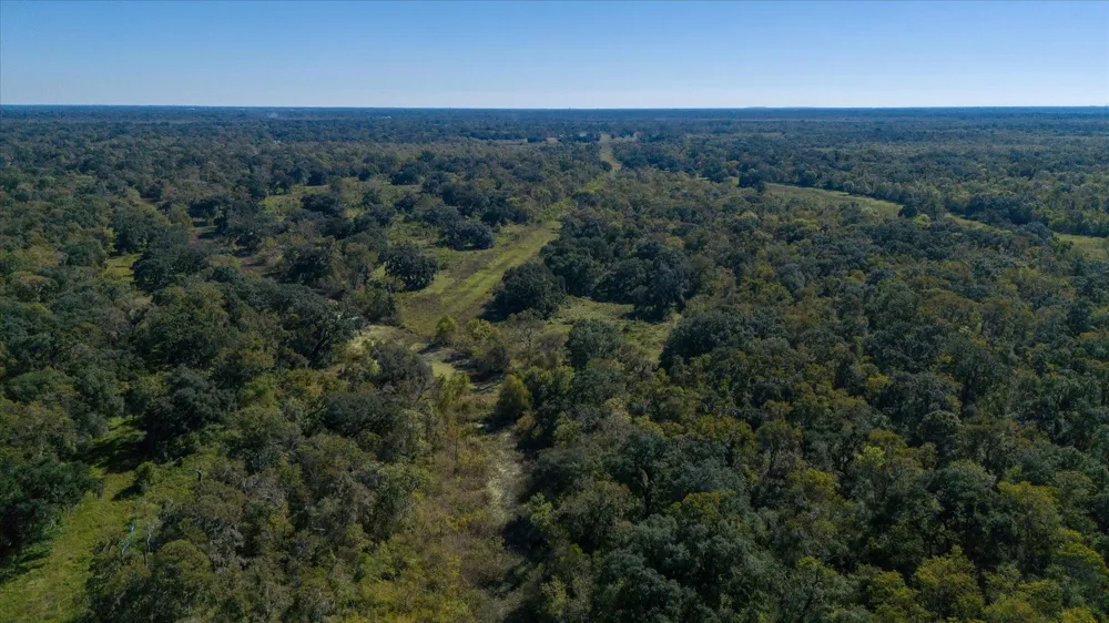Cr 611 Angleton, TX 77515