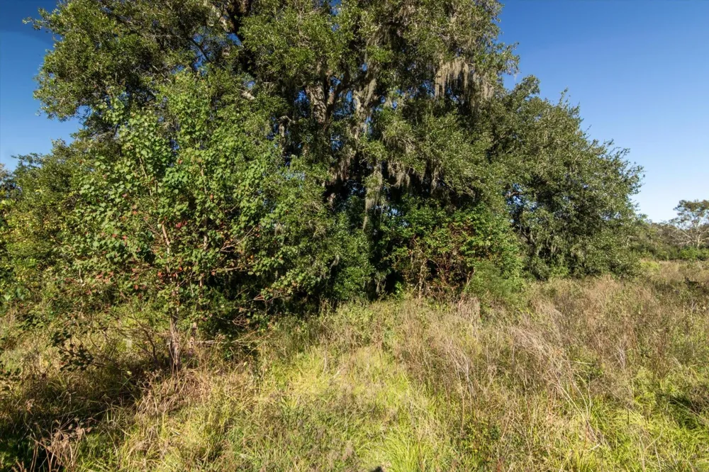 Cr 611 Angleton, TX 77515