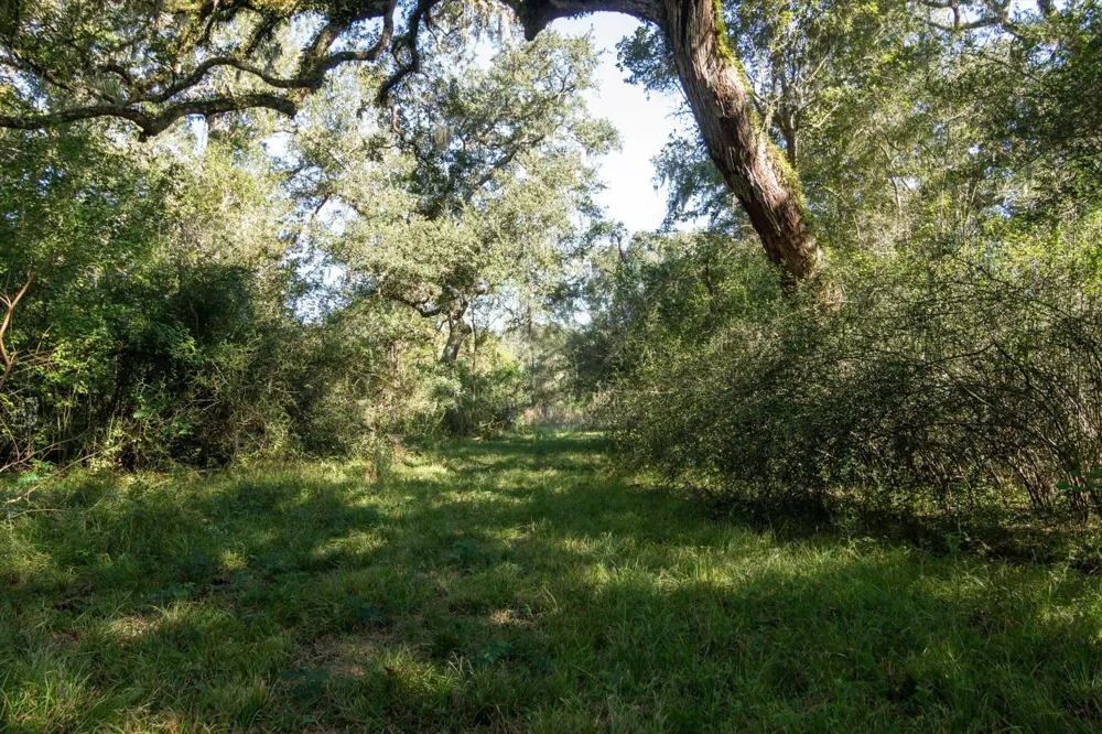 Cr 611 Angleton, TX 77515