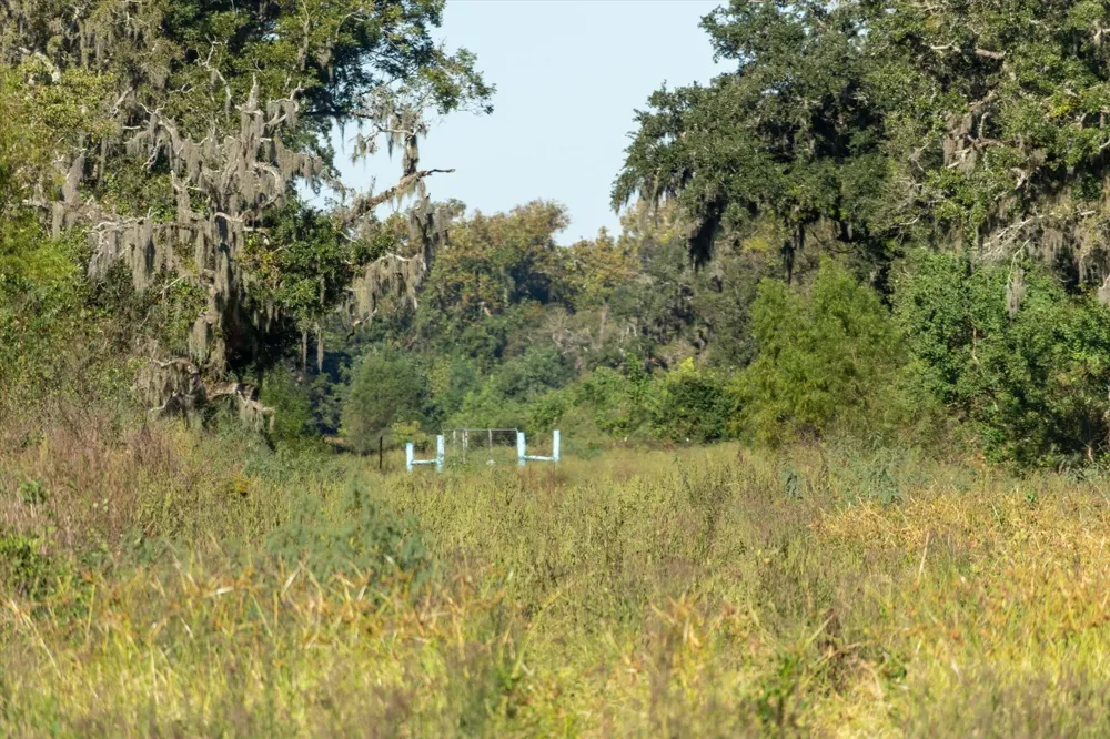 Cr 611 Angleton, TX 77515