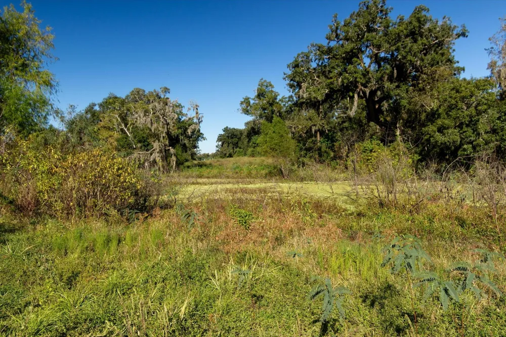 Cr 611 Angleton, TX 77515