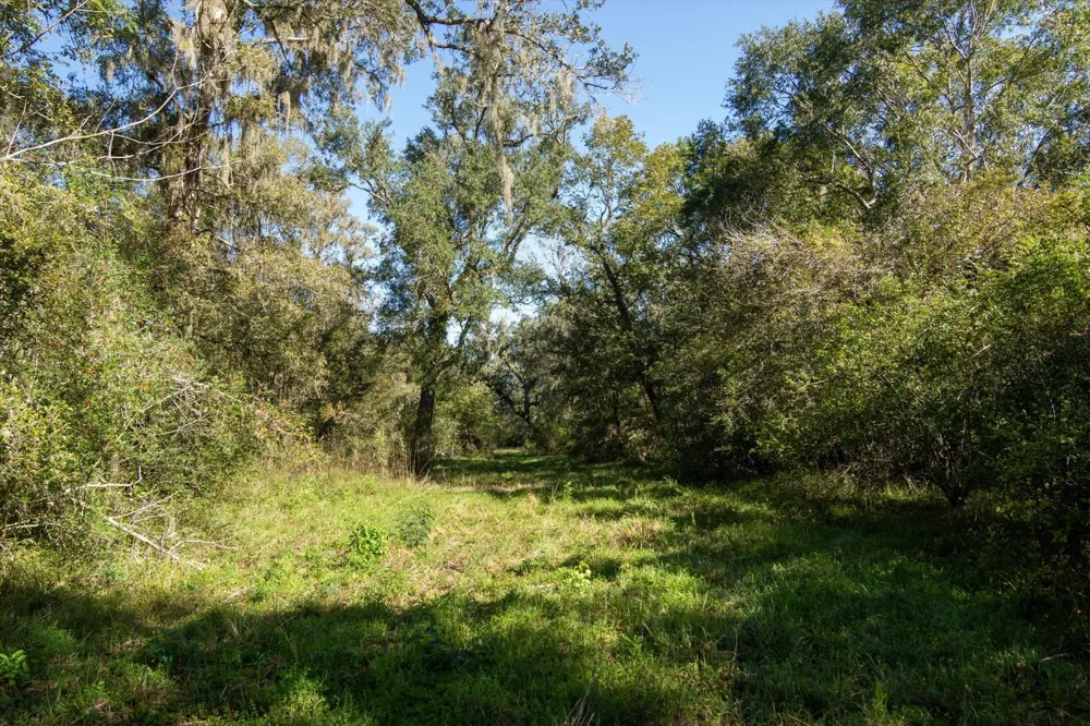 Cr 611 Angleton, TX 77515