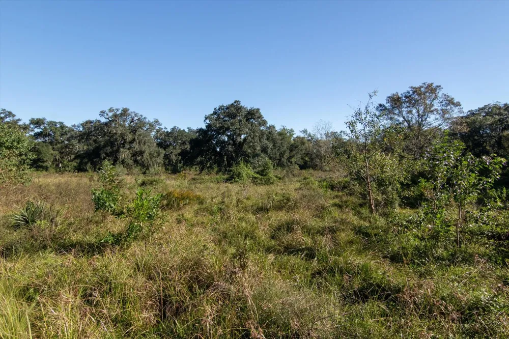 Cr 611 Angleton, TX 77515