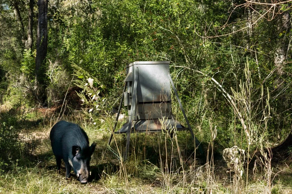 Cr 611 Angleton, TX 77515