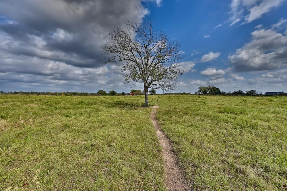 1901 Newsom Road Bellville, TX 77418