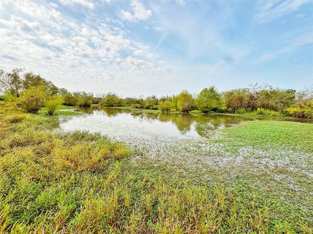Cr 155 Centerville, TX 75833