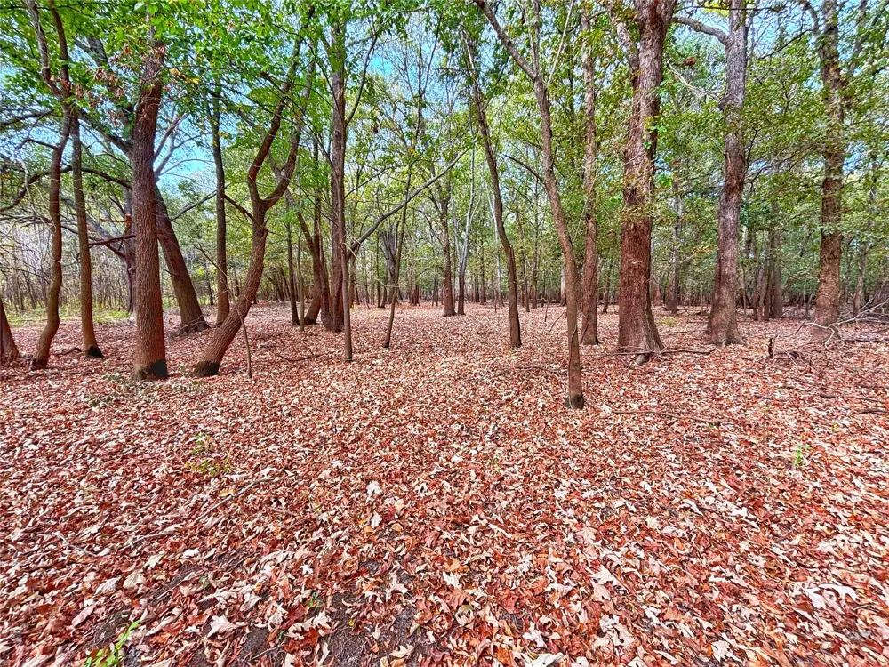 Cr 155 Centerville, TX 75833