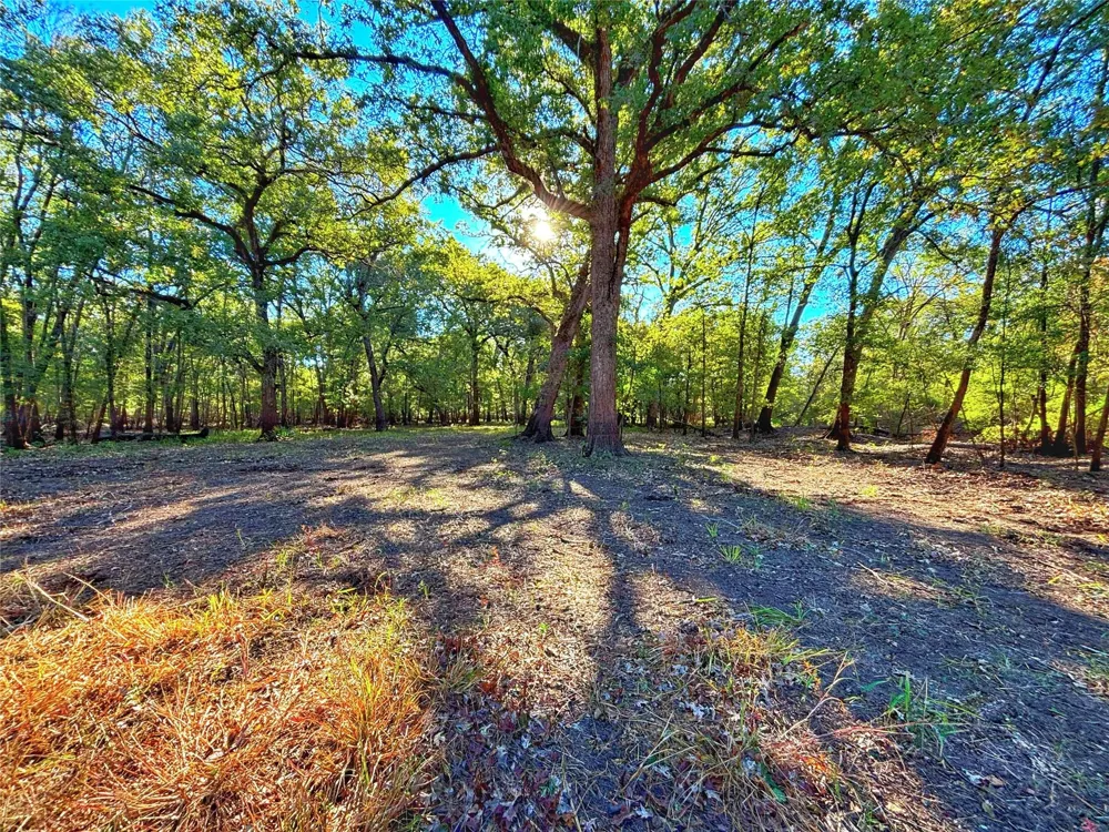 Cr 155 Centerville, TX 75833