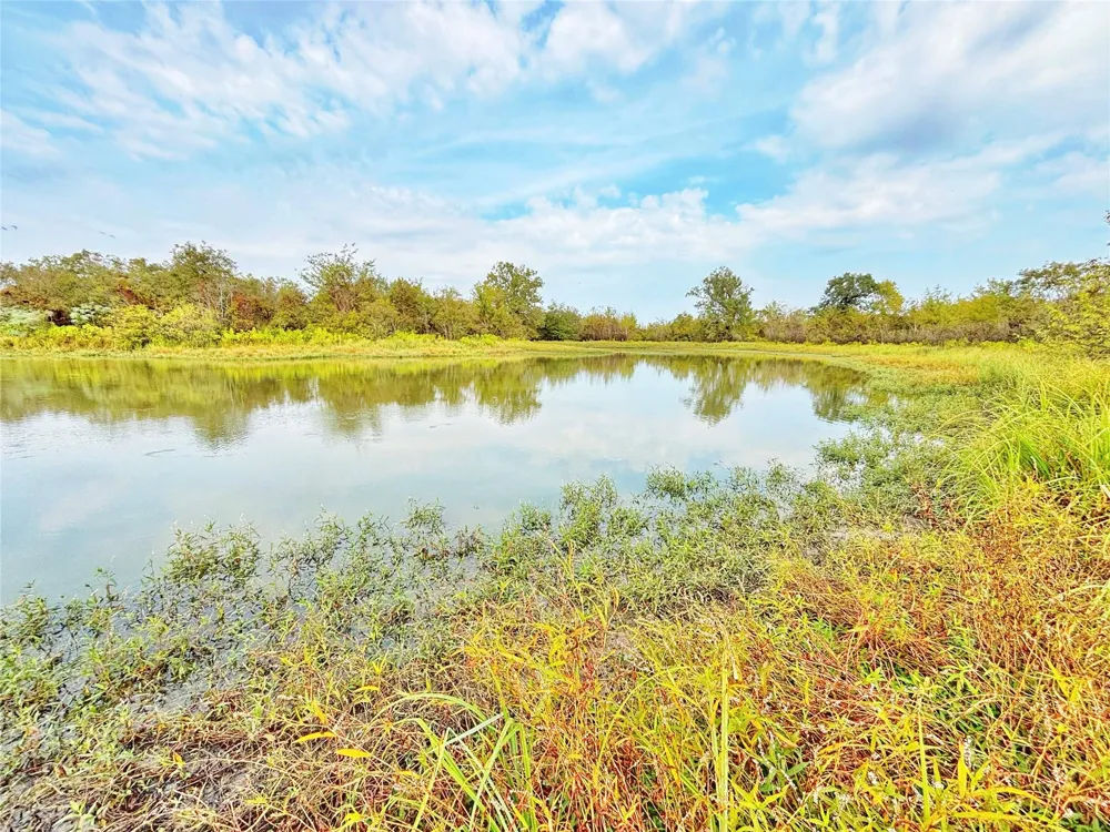 Cr 155 Centerville, TX 75833