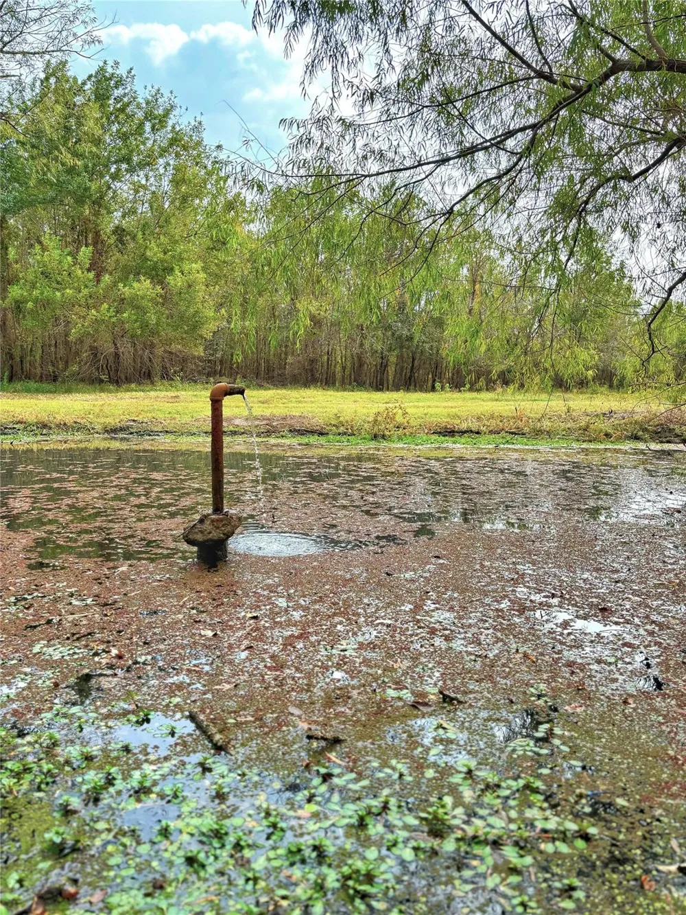 Cr 155 Centerville, TX 75833
