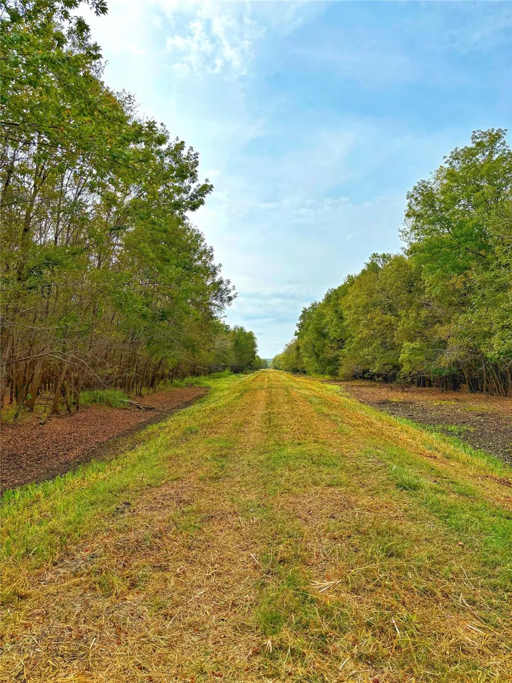 Cr 155 Centerville, TX 75833