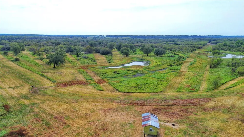 Cr 155 Centerville, TX 75833