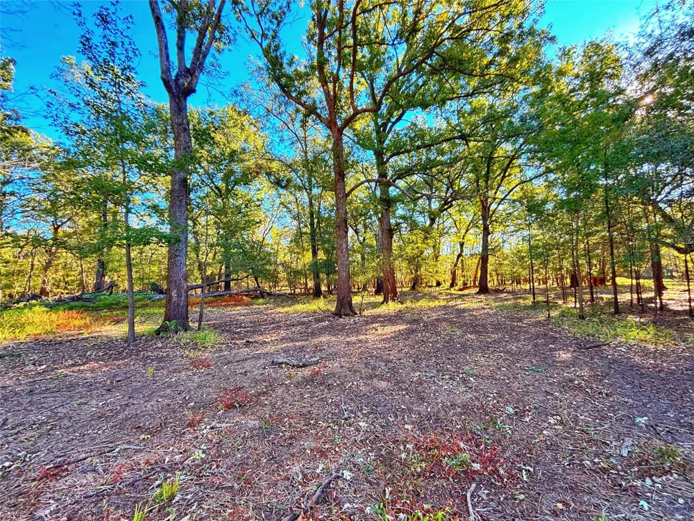 Cr 155 Centerville, TX 75833