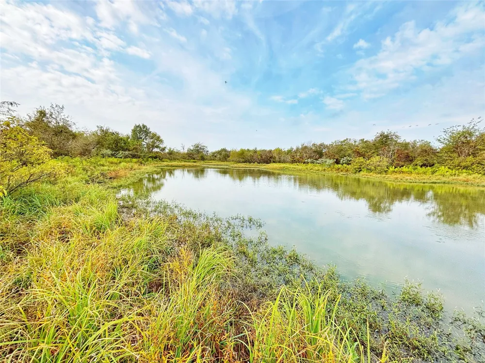 Cr 155 Centerville, TX 75833