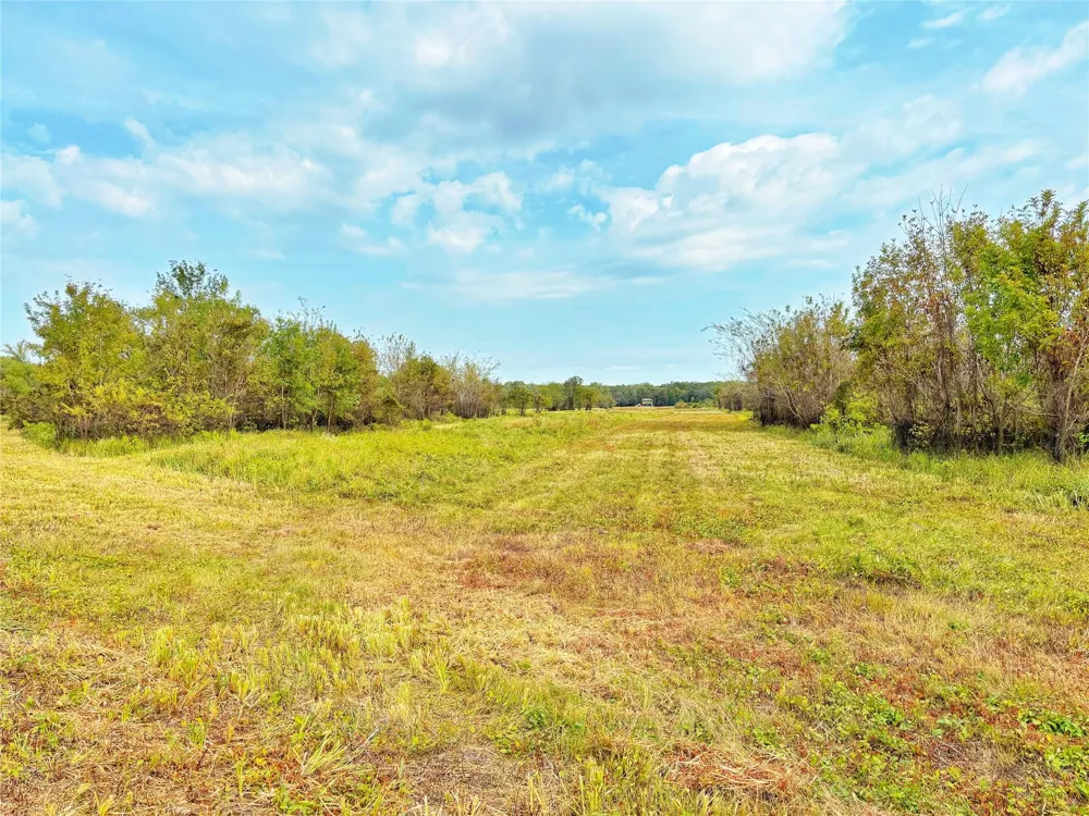 Cr 155 Centerville, TX 75833