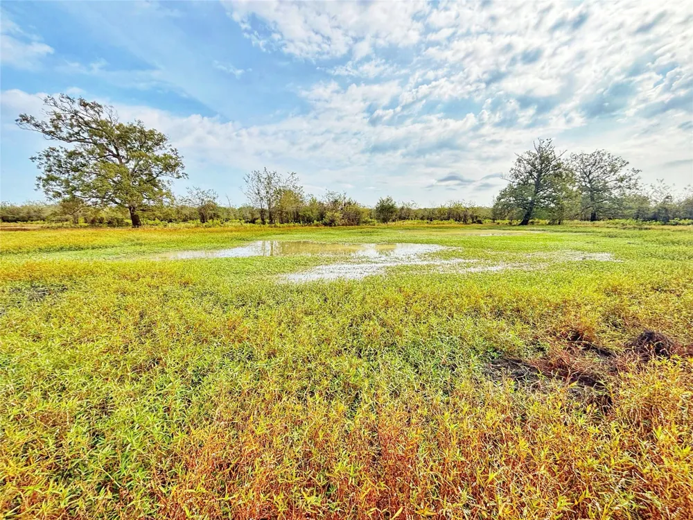 Cr 155 Centerville, TX 75833