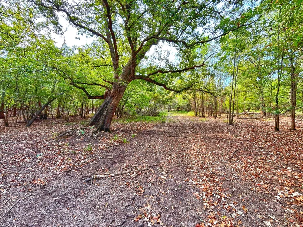 Cr 155 Centerville, TX 75833