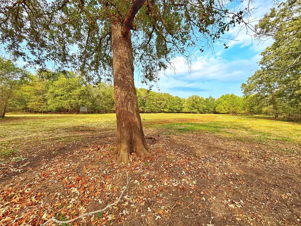 Cr 155 Centerville, TX 75833