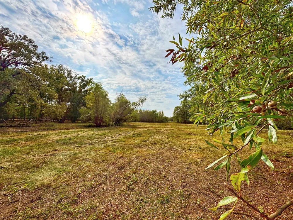 Cr 155 Centerville, TX 75833