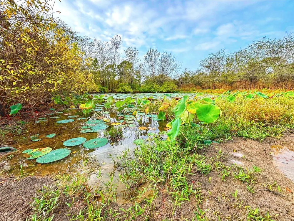 Cr 155 Centerville, TX 75833