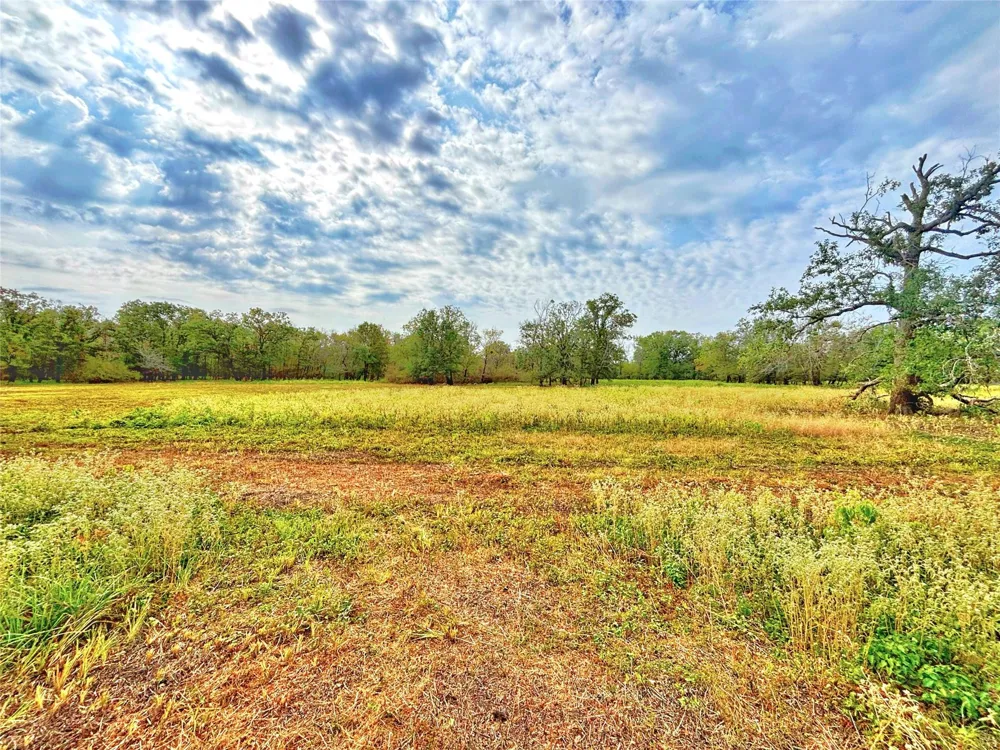 Cr 155 Centerville, TX 75833