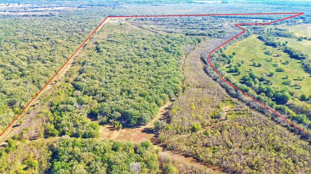 Cr 155 Centerville, TX 75833
