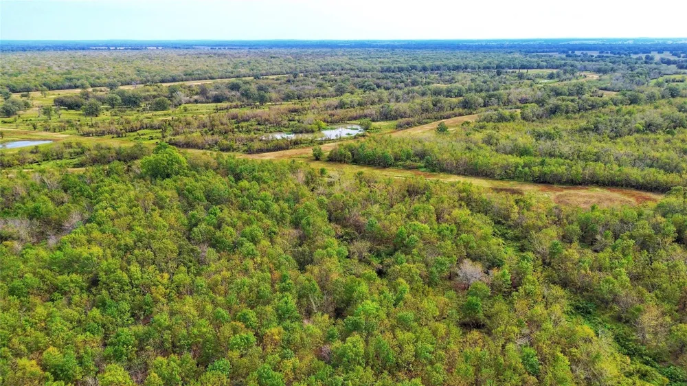 Cr 155 Centerville, TX 75833