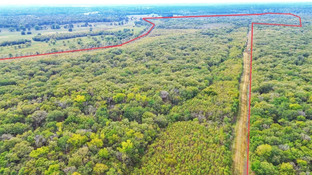 Cr 155 Centerville, TX 75833