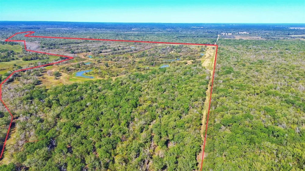 Cr 155 Centerville, TX 75833