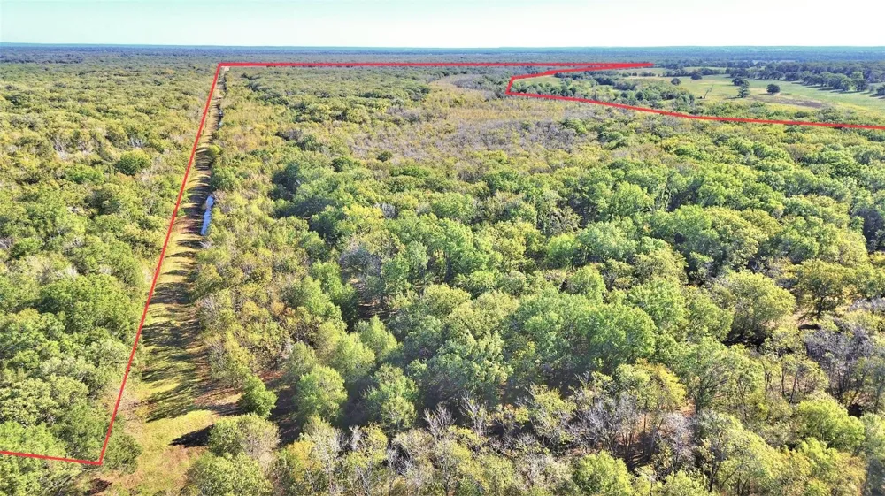 Cr 155 Centerville, TX 75833