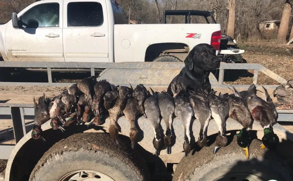 Cr 155 Centerville, TX 75833