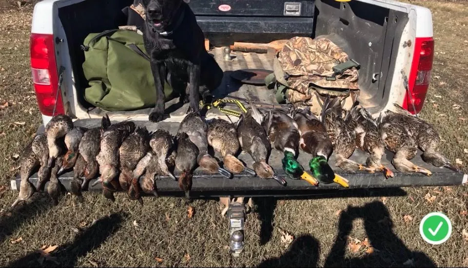 Cr 155 Centerville, TX 75833
