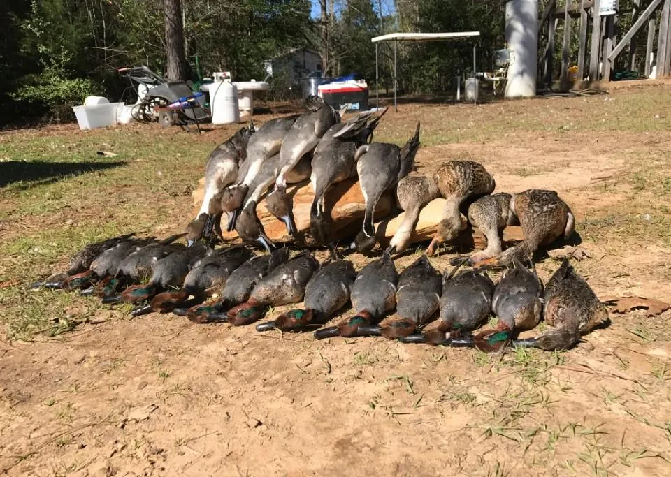 Cr 155 Centerville, TX 75833