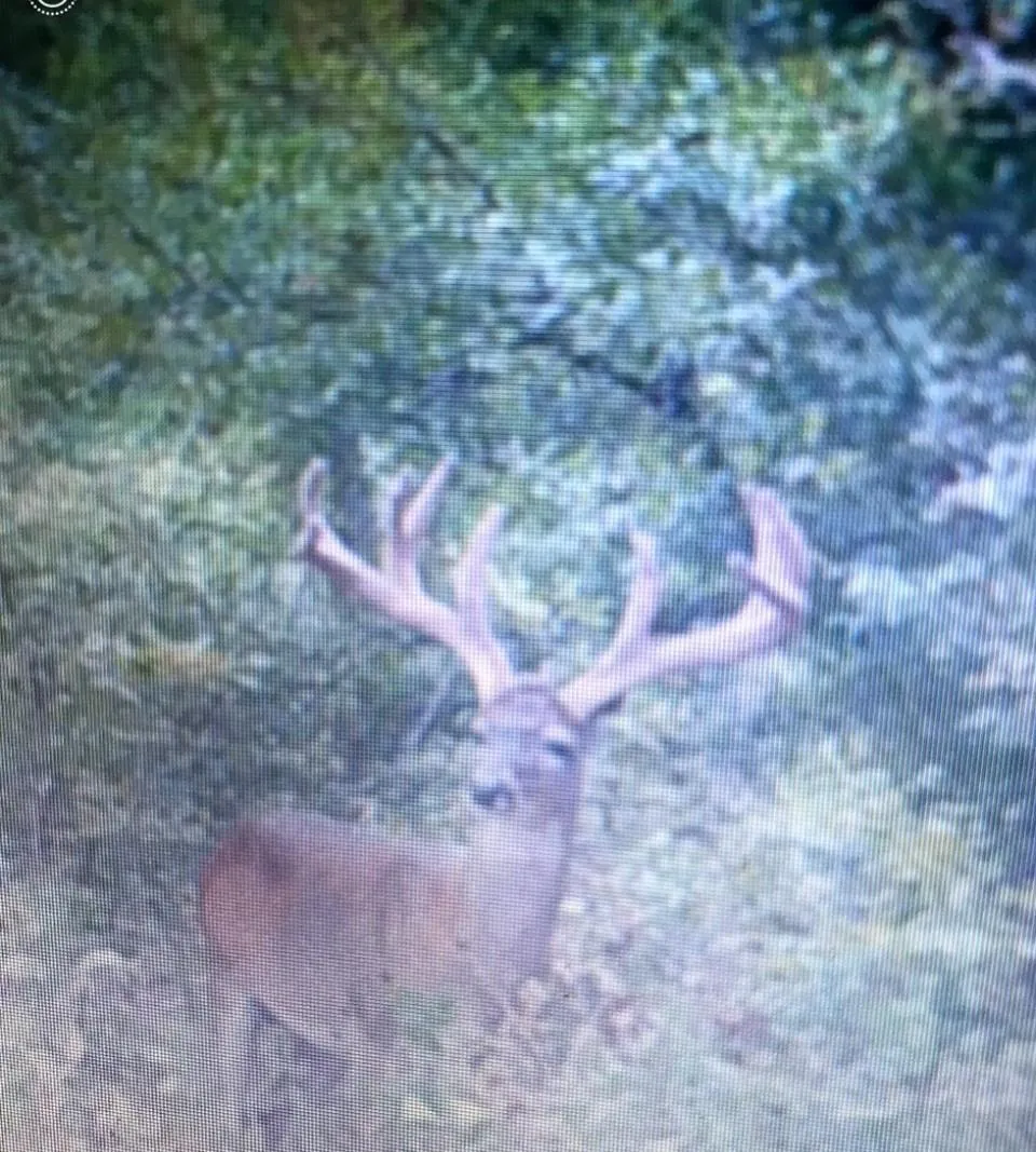 Cr 155 Centerville, TX 75833
