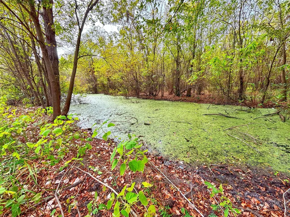 Cr 155 Centerville, TX 75833