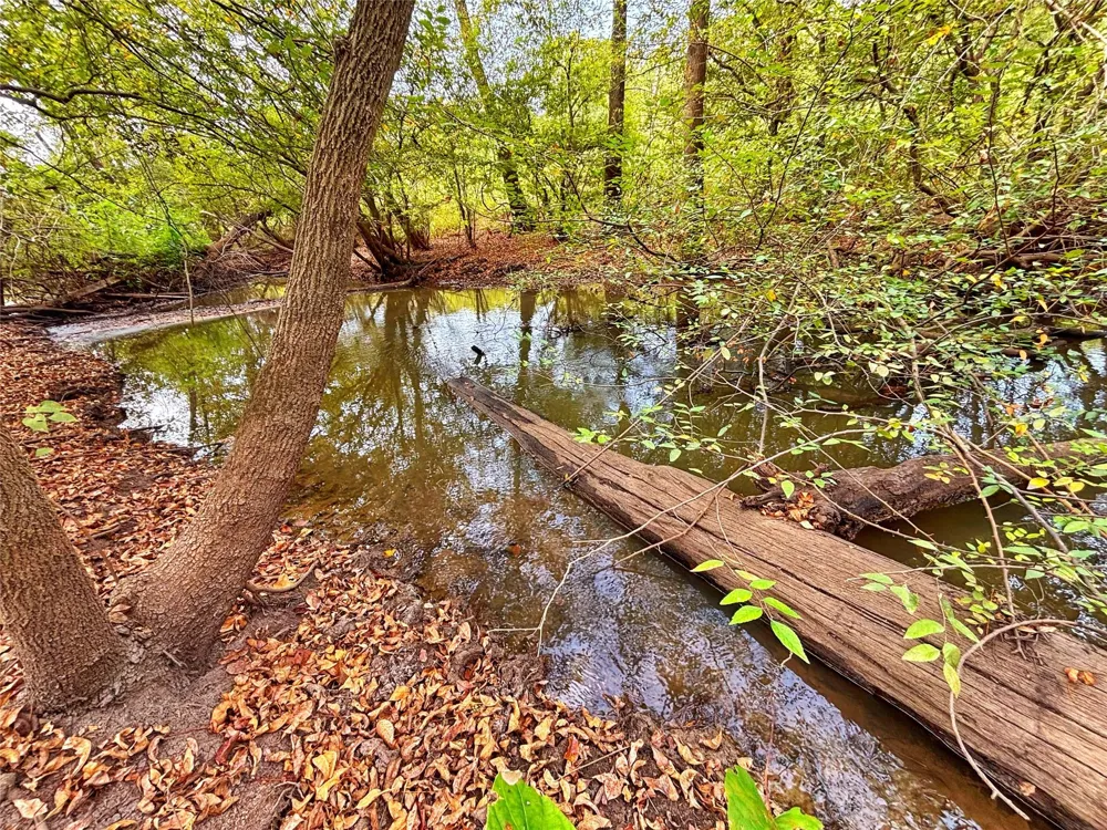 Cr 155 Centerville, TX 75833