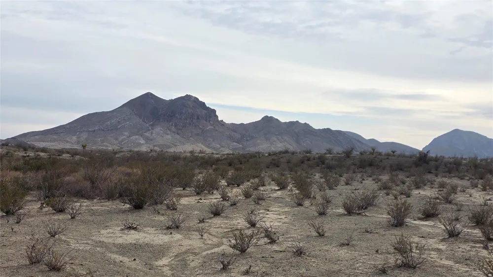 Mailbox Road Alpine, TX 79852